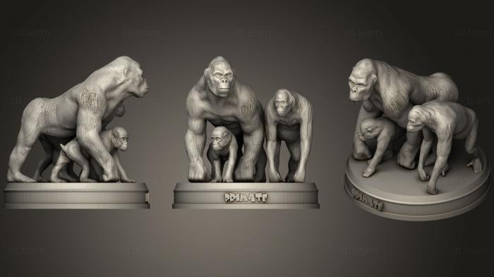 3D model Primate (STL)